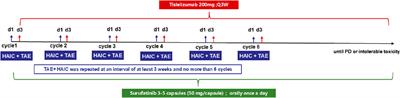 Protocol of REACH-01: a single-arm, open label, prospective study of HAIC sequential TAE combined with tislelizumab and surufatinib in unresectable intrahepatic cholangiocarcinoma